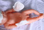 Niet - de Geweven van de de Producten Pasgeboren Baby van de Stoffen Beschikbare Baby van de Handhandschoenen Grootte van L S leverancier